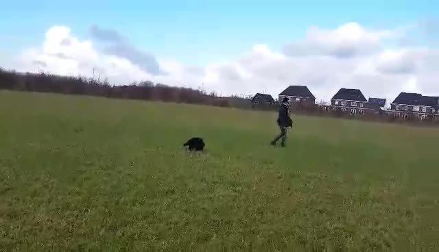 video-1457086581 (1)